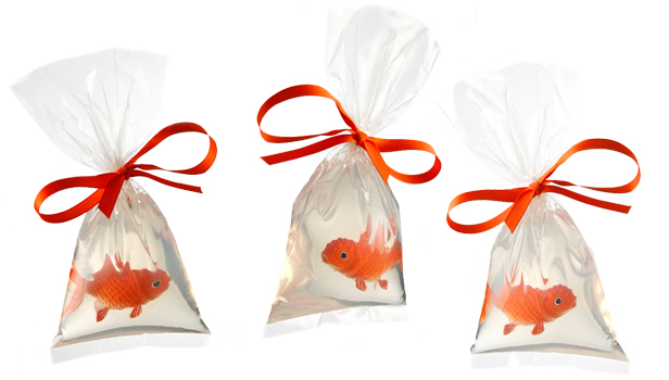 pet fish soap in a bag-spoon sisters